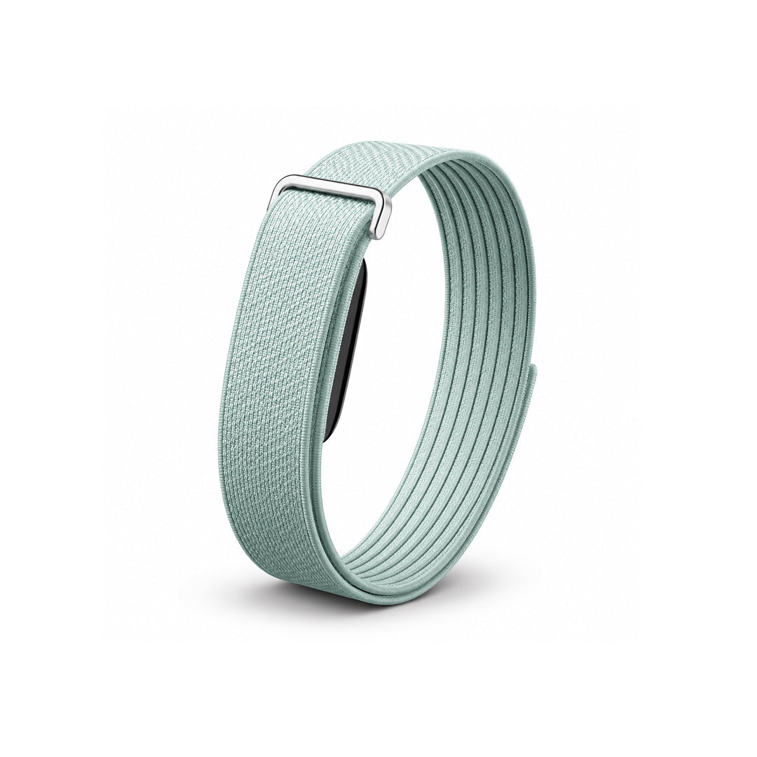 The Nylon+ Band