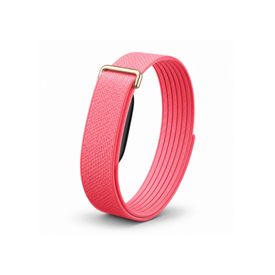 The Nylon+ Band