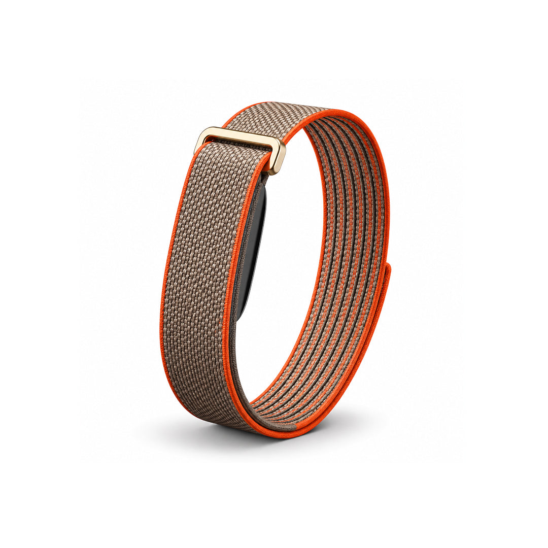 The Nylon+ Band