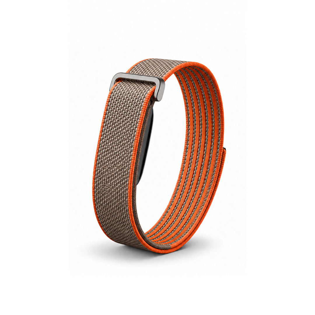 The Nylon+ Band