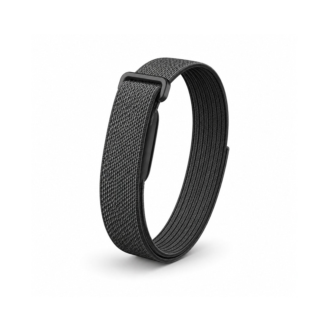 The Nylon+ Band