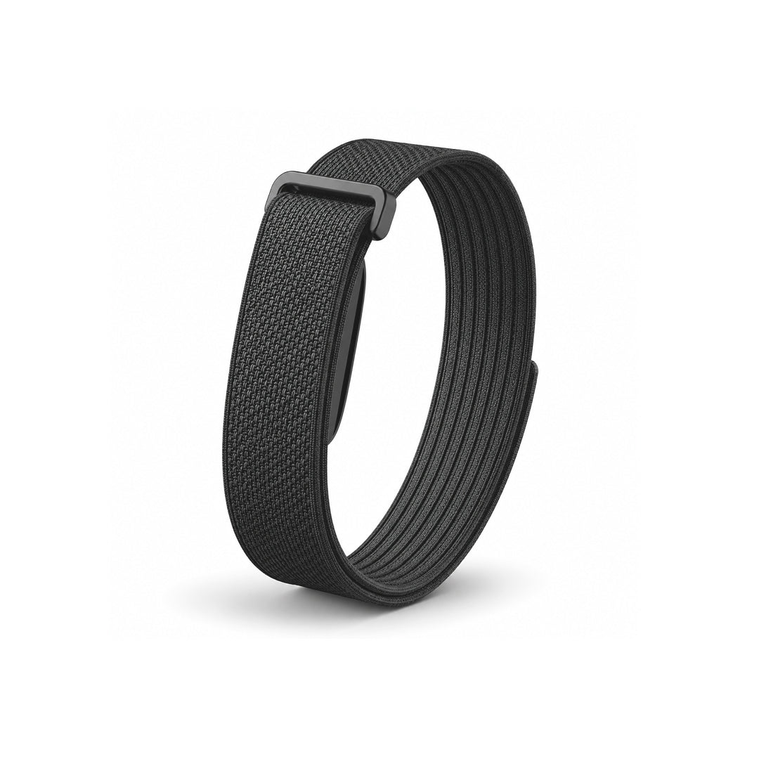 The Nylon+ Band