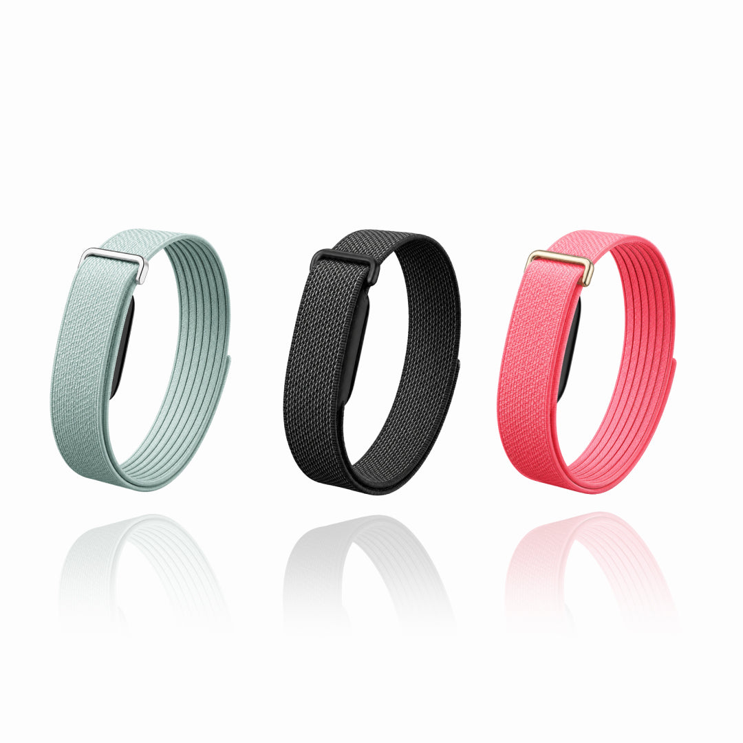 The Nylon+ Band