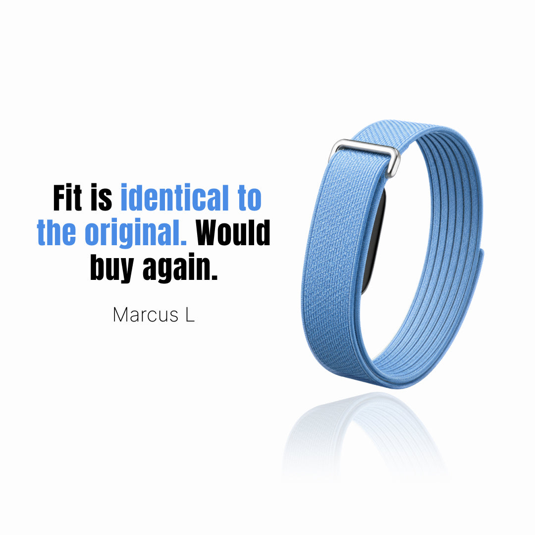 The Nylon+ Band